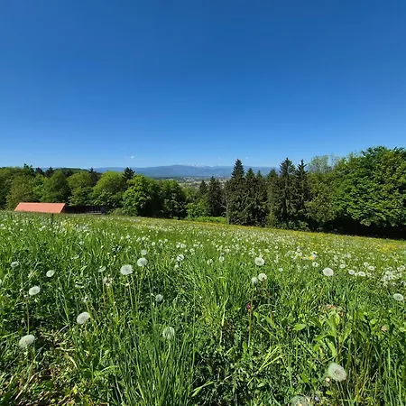Rebenruhe Suedsteiermark