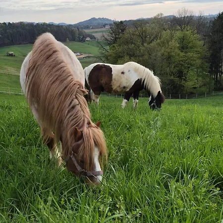 Rebenruhe Suedsteiermark Дом отдыха Praratheregg